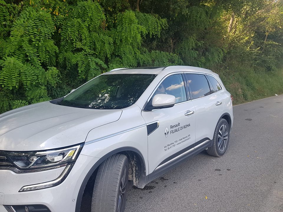 38130084 2351983101493403 864255812044849152 n