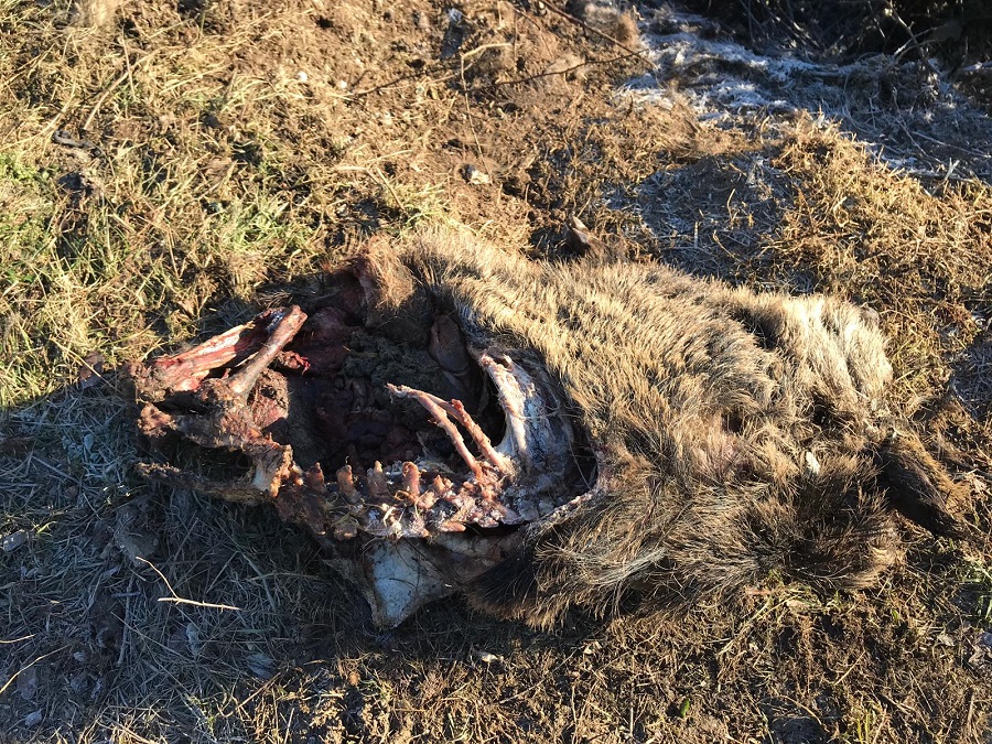 8192a5e5 8d5c 4815 8c2c a8ba92d83bf7