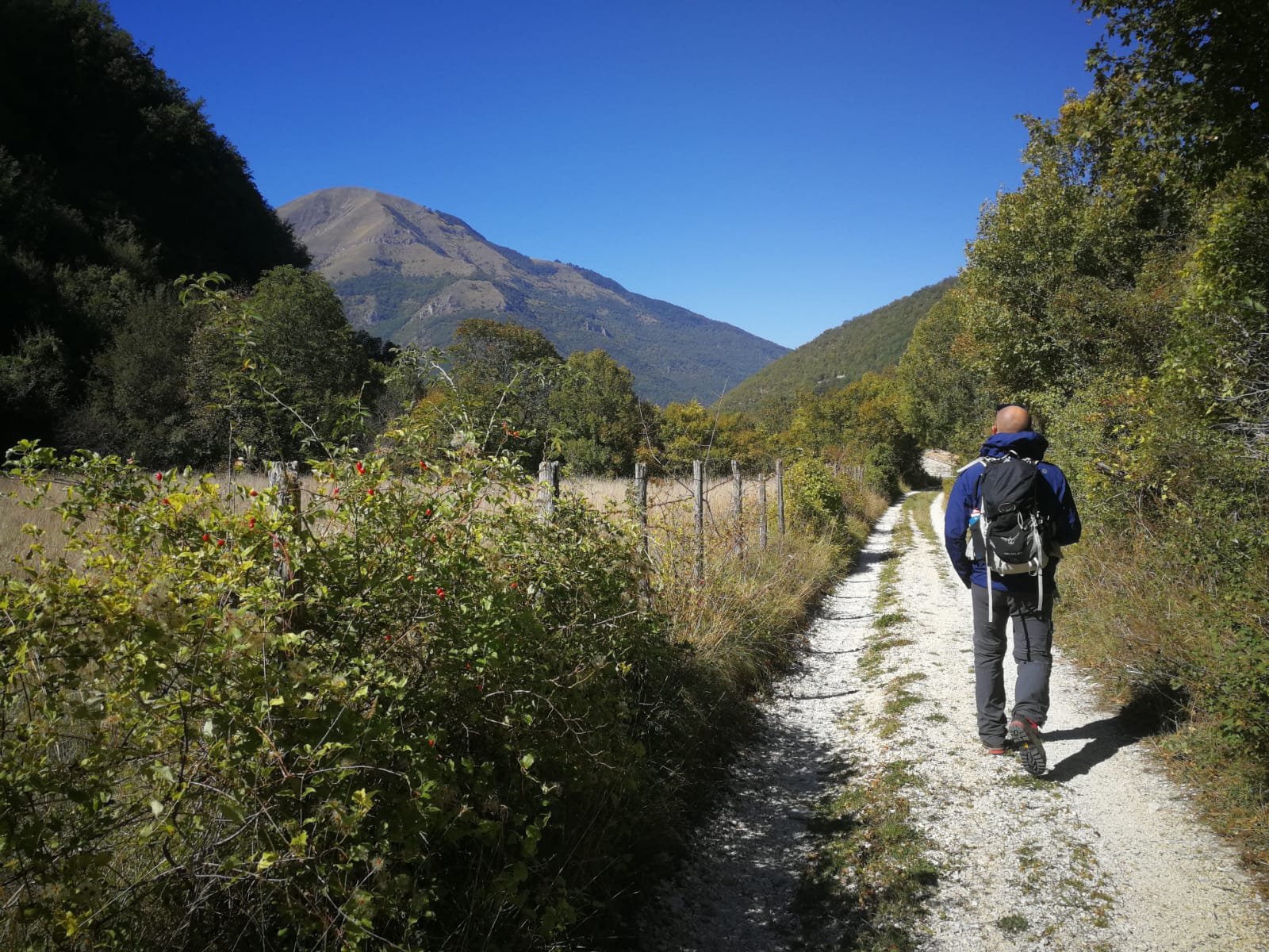 WhatsApp Image 2018 10 03 at 14.29.17 1