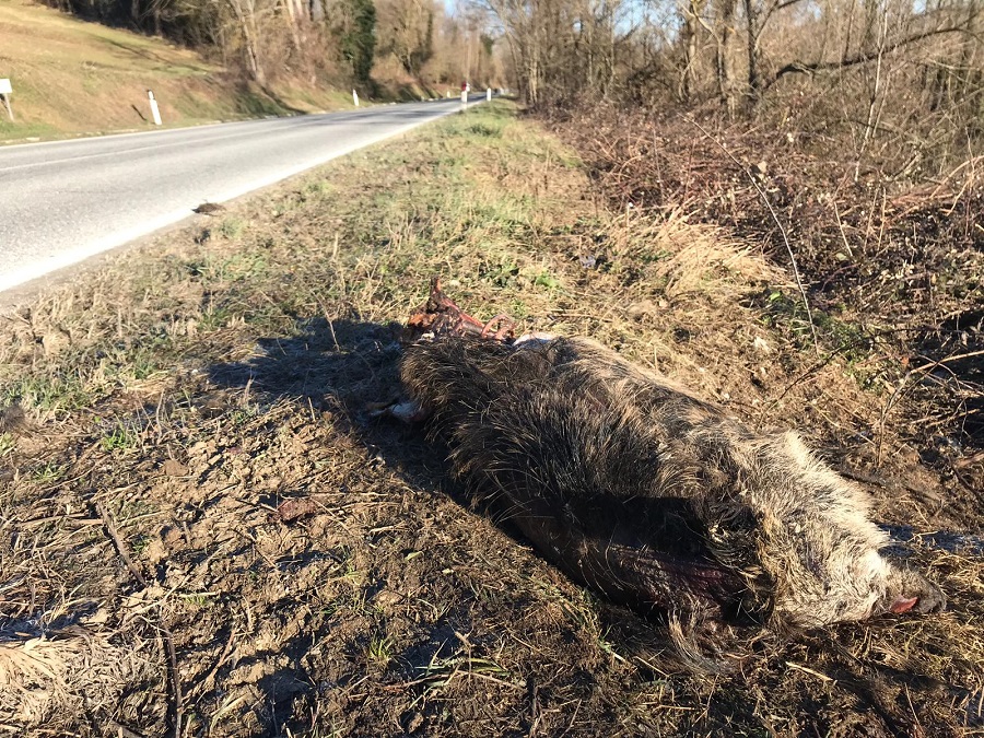 b54c596a 27db 46c9 9f17 3e283cf4564c