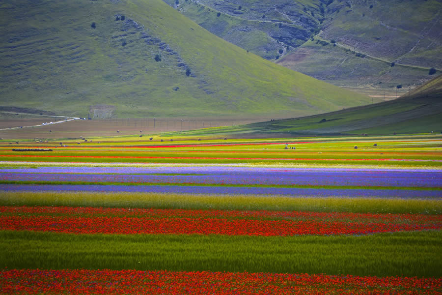 castelluccio11