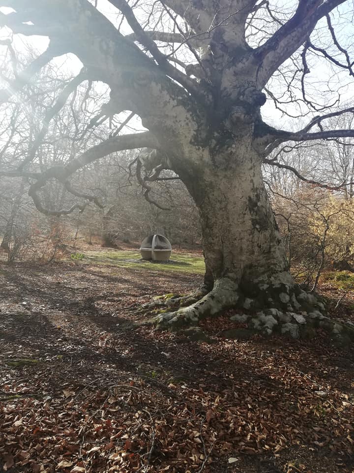 82120264 10219514732652145 1611211484505833472 n