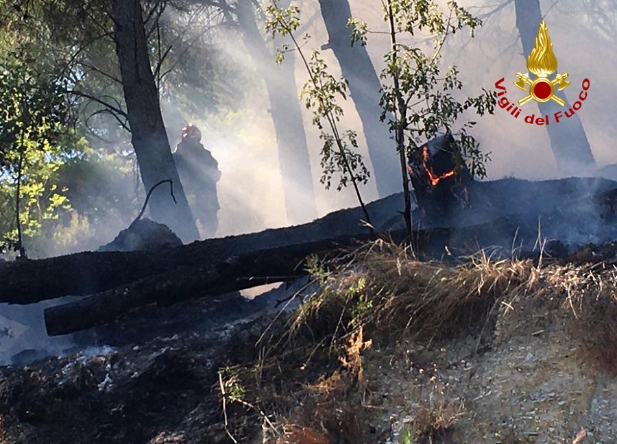 incendio Monte Conero