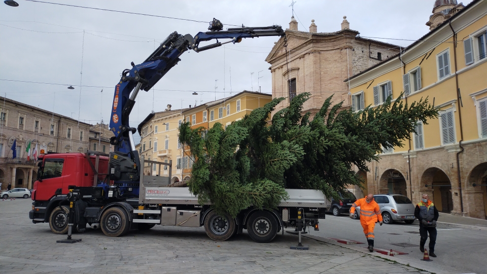 IMG20201124102943 01