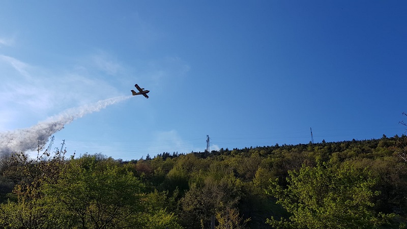 56713ed7 bc24 4ca7 9c56 ab90d87aa58f