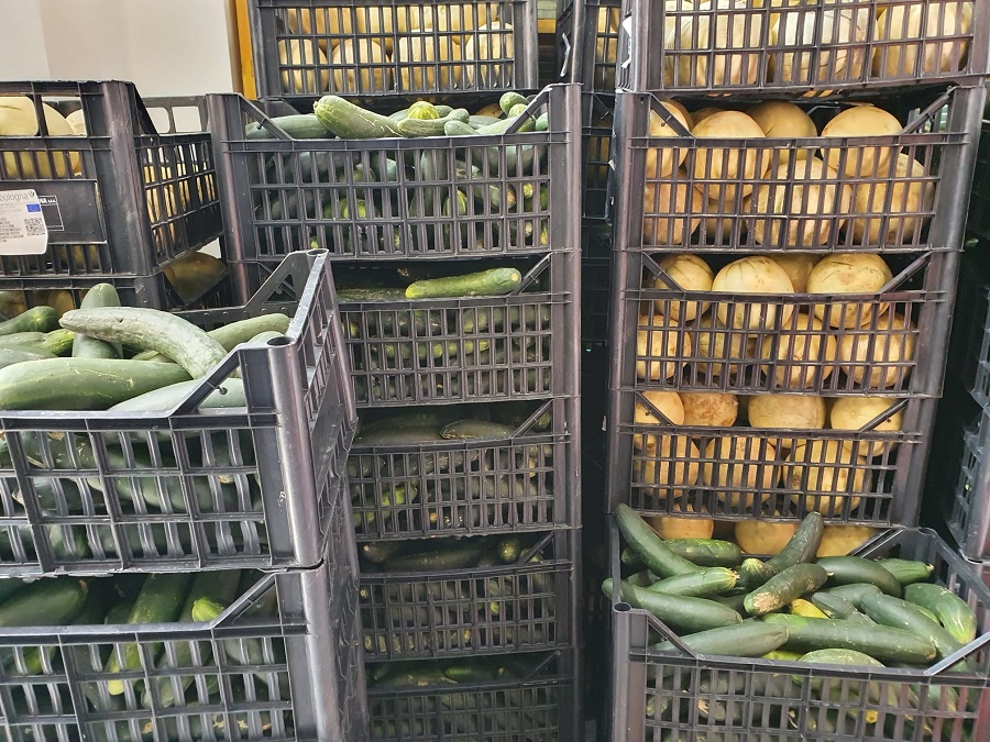 WhatsApp Image 2021 07 29 at 18.30.09