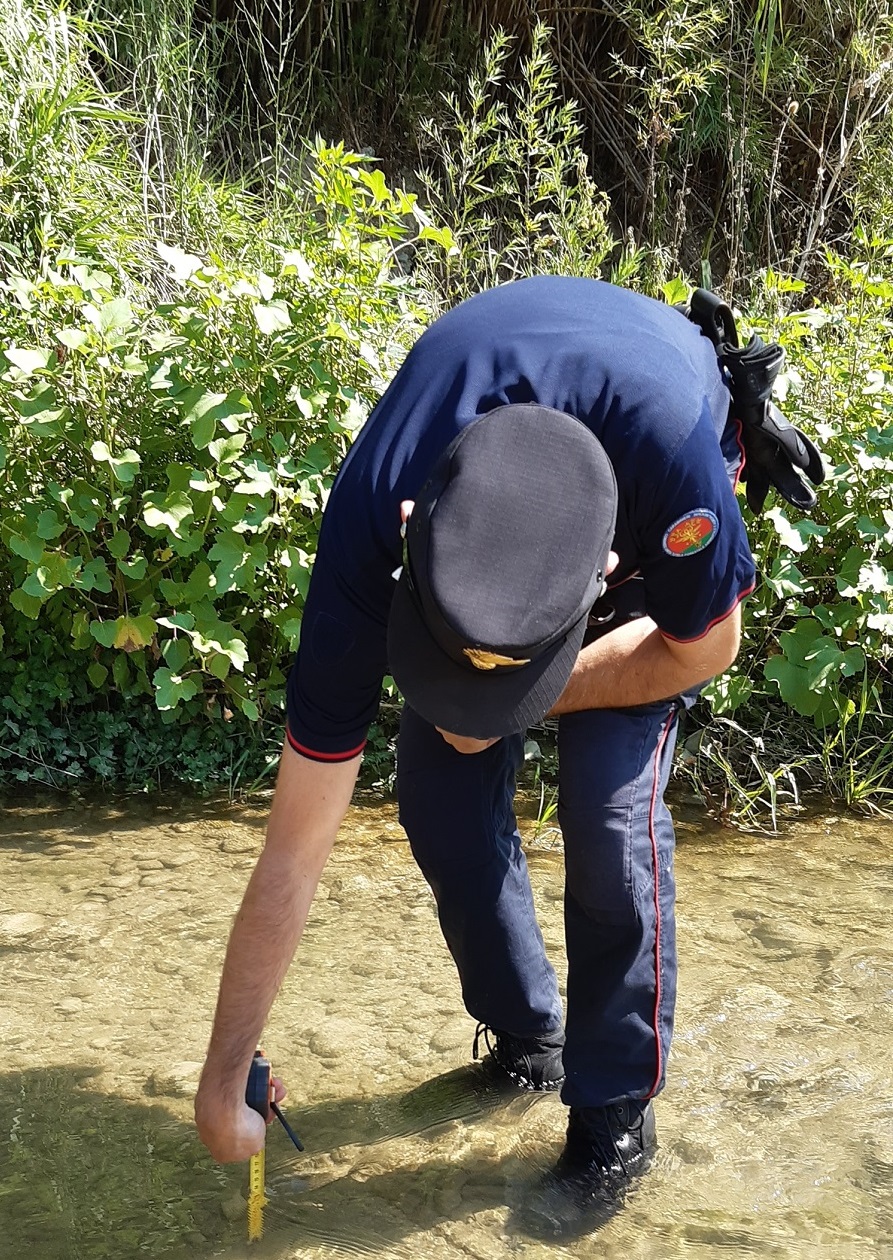 Foto chienti rilascio irrisorio 2021