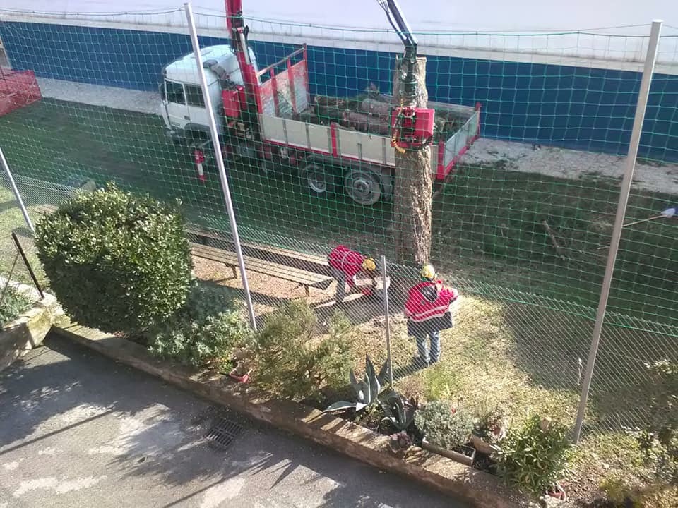 5939C79B 664E 4B46 98D3 82A606F2A413