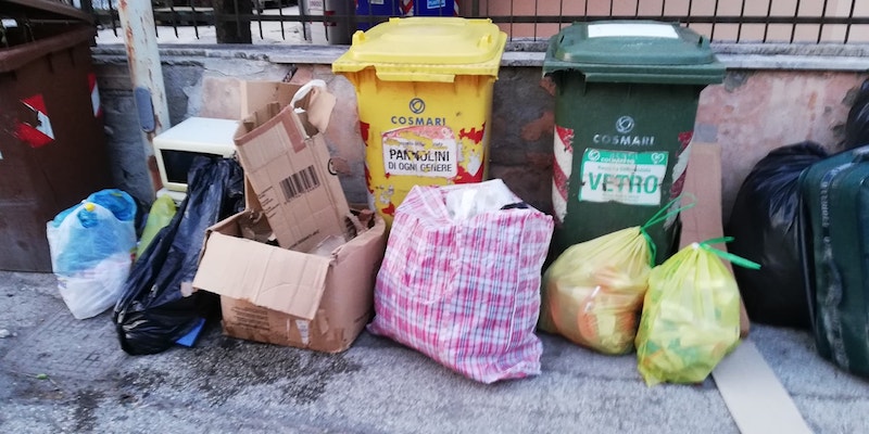 68878616 2538679439528604 8341859084869304320 o