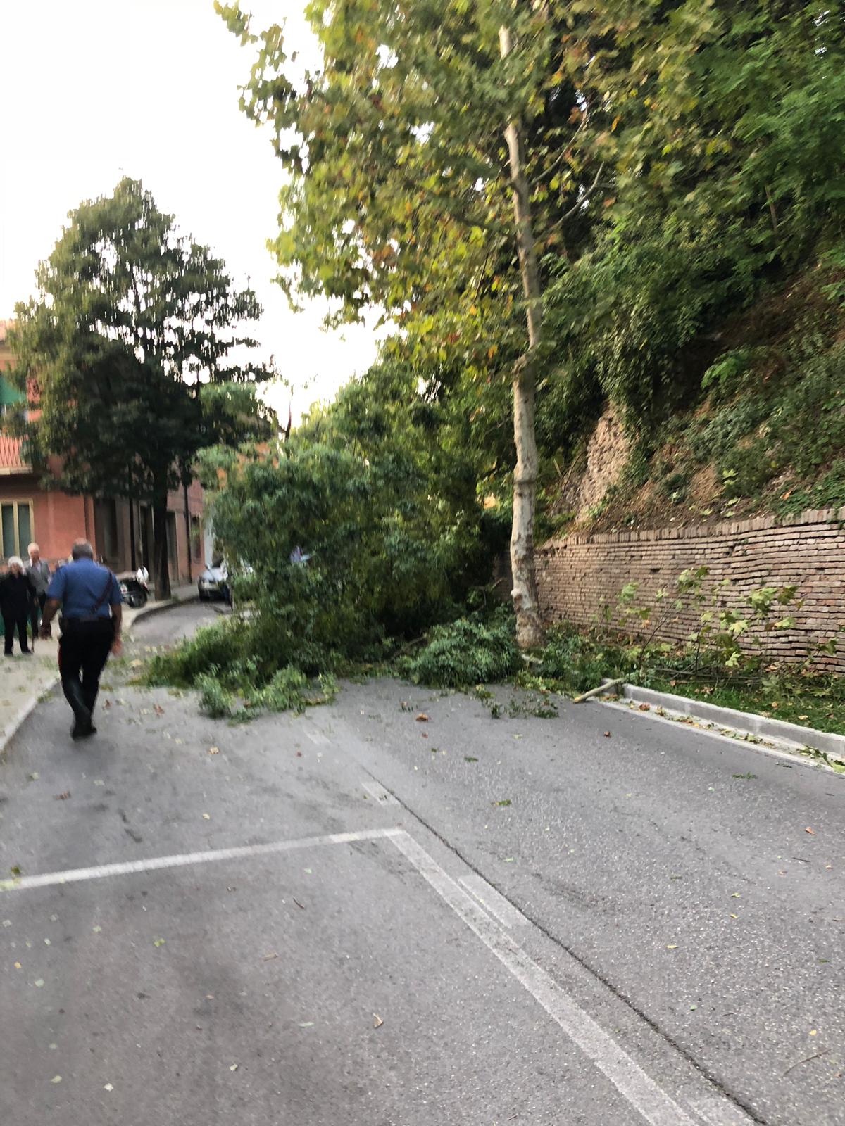 6C53FF29 0EFF 4516 823F 2B444E1CFA19