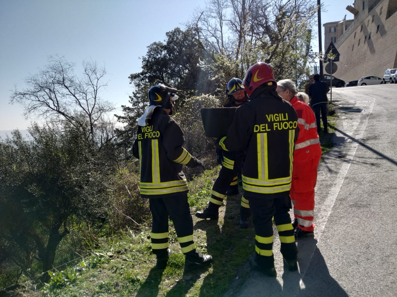 D3F7ADAD 1022 4063 8764 CE8B778253A1