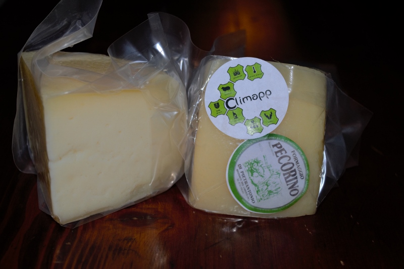 DSC 0255 def 800x533