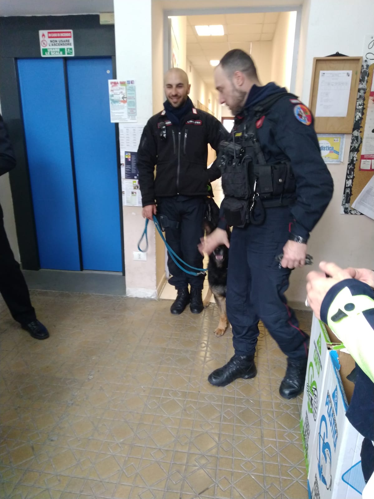 E21A9C99 E5AA 4F5F B96B D3D4F6EF91E9