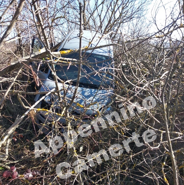 EE04EA72 A532 426C B21D 25A90EF2059D