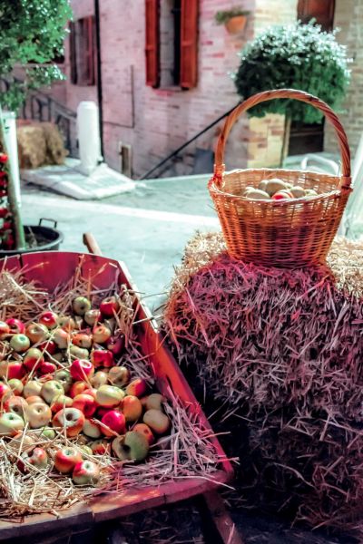 Mela Rosa Montedinove