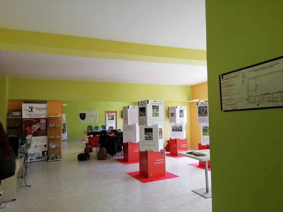 Mostra Seminare nuovi Scirea