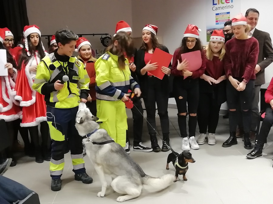 POLO NATALE PROT AAA