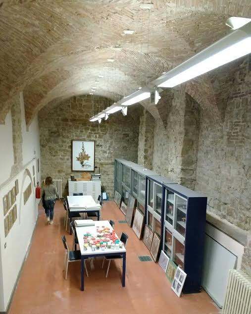 Palazzo castelli sala