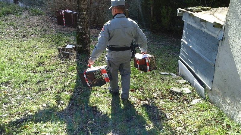 Sequestro trappole 1