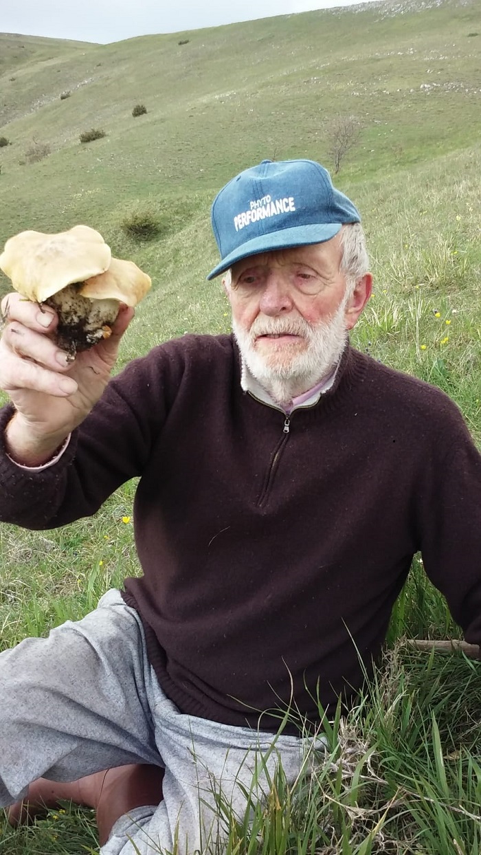 Venazo Micarelli grande