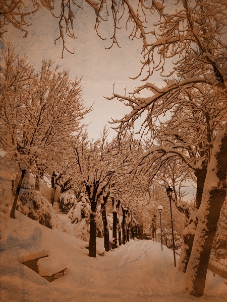 Viale Guglielmo Oberdan febbraio 2018