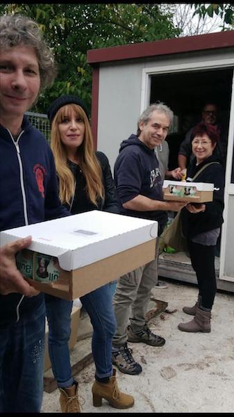 angeli della bassa 5