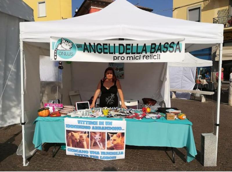 angeli della bassa 7