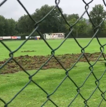 campo di calcio arato dai cinghiali 2