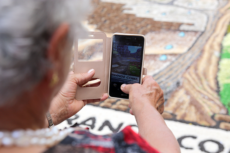 opere infiorata castelraimondo 2017IMG 6214