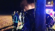 Con l'auto contro una pianta, 36enne trasportato in ospedale