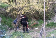 Tragedia sfiorata in un orto con la motozappa
