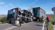 Camion carico di polli si ribalta, strada bloccata