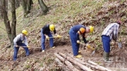 Lavori idraulico-forestali tra Matelica, Apiro e Cingoli