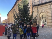 Camerino, il centro rivive con l'albero di Natale