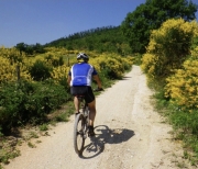 Al via un progetto integrato locale