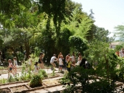 Camerino Attivit&agrave; estive all'Orto Botanico di Unicam. 1 agosto appuntamento con spin off Mumo