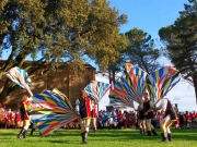 Corsa alla Spada- "Tamburi e bandiere nel ducato" fanno il pieno di emozioni
