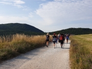 Italia Nostra su RisorgiMarche: "Preoccupati per la natura"