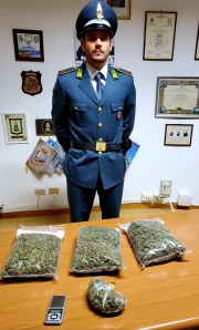 Doppio blitz antidroga: tre denunciati, 1,7kg di droga sequestrata