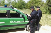 Area tutelata disboscata abusivamente, tre denunce e maxi multa