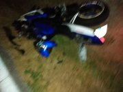 Cinghiale travolge motociclista, giovane finisce all'ospedale