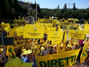 "Basta Cinghiali", Coldiretti Marche in marcia contro la Regione