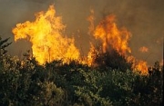 Sarnano: principio di incendio