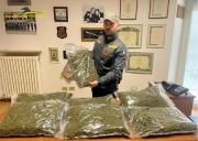 Marijuana nei magazzini di una societ&agrave; di spedizione. Sequestrati 42 chili di droga, tre denunce