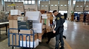 Sequestrati 4 chili di marijuana nel magazzino di uno spedizionarie, denunciato il destinatario