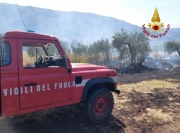 Incendio di sterpaglie a Matelica. Intervento dei Vigili del Fuoco