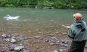 Pesca al palo nelle Marche: nessuna immissione di trote prima dell&rsquo;apertura del 27 marzo