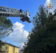 Cade e resta impigliato a testa in gi&ugrave; all'albero che sta potando, interviene l'eliambulanza