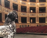 Stupisce la gallina sul palco del Vaccaj