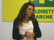 Coldiretti Marche, Gardoni: "Sostegno immediato al settore agroalimentare"